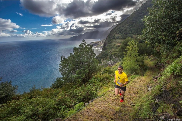 KM Vertical - Fanal